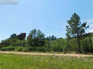 6452 Torrey Pines Dr, Larkspur, CO 80118