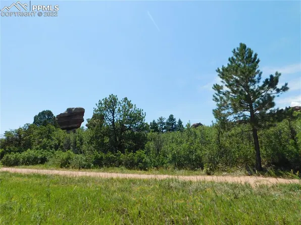 6452 Torrey Pines Dr, Larkspur, CO 80118