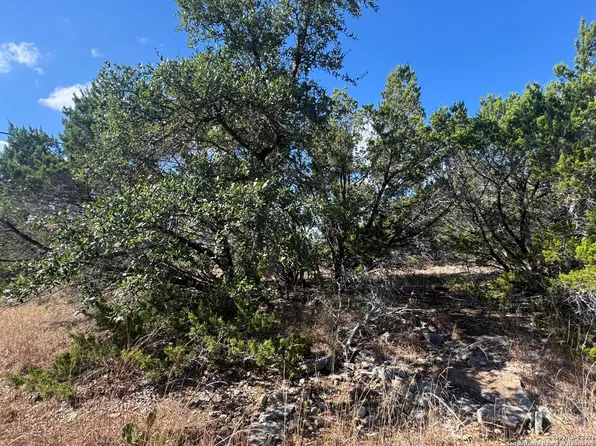 217 Breeze Pt LOT 100, Fischer, TX 78623