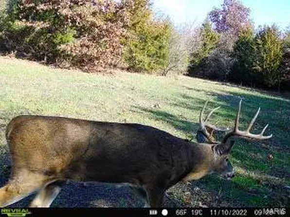 621 Monroe Rd, Santa Fe, MO 65282