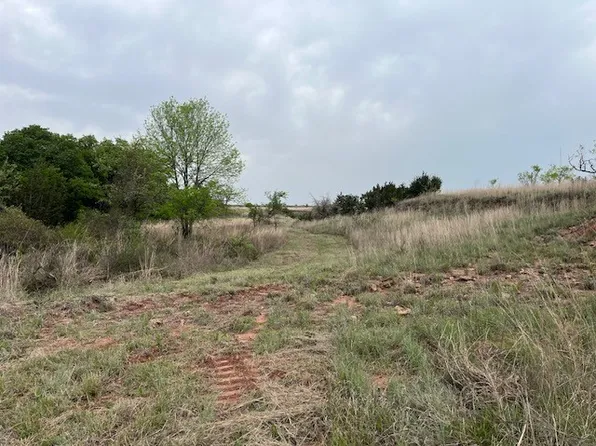 Two Bush Rd, Perrin, TX 76486