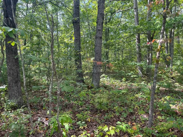Tbd Gerties Ln, Stuarts Draft, VA 24477