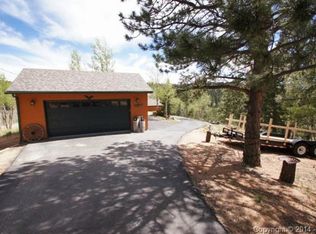 132 Dillon Lake Cir, Divide, CO 80814