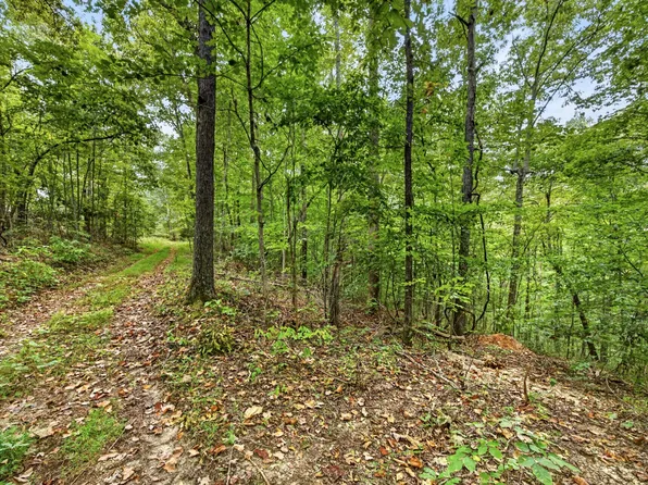 0 Timber Ridge Ln Lot 26, Celina, TN 38551
