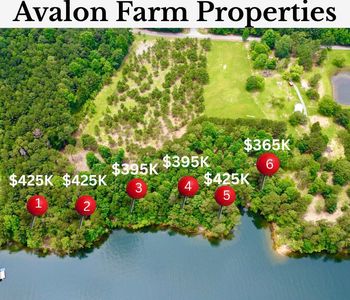 1 Avalon Farms, Crane Hill, AL, 35053