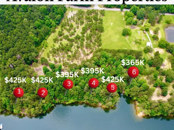 1 Avalon Farms, Crane Hill, AL 35053