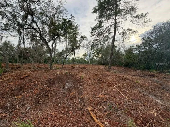 Sequoia Trl Lot 2, Ocklawaha, FL 32179