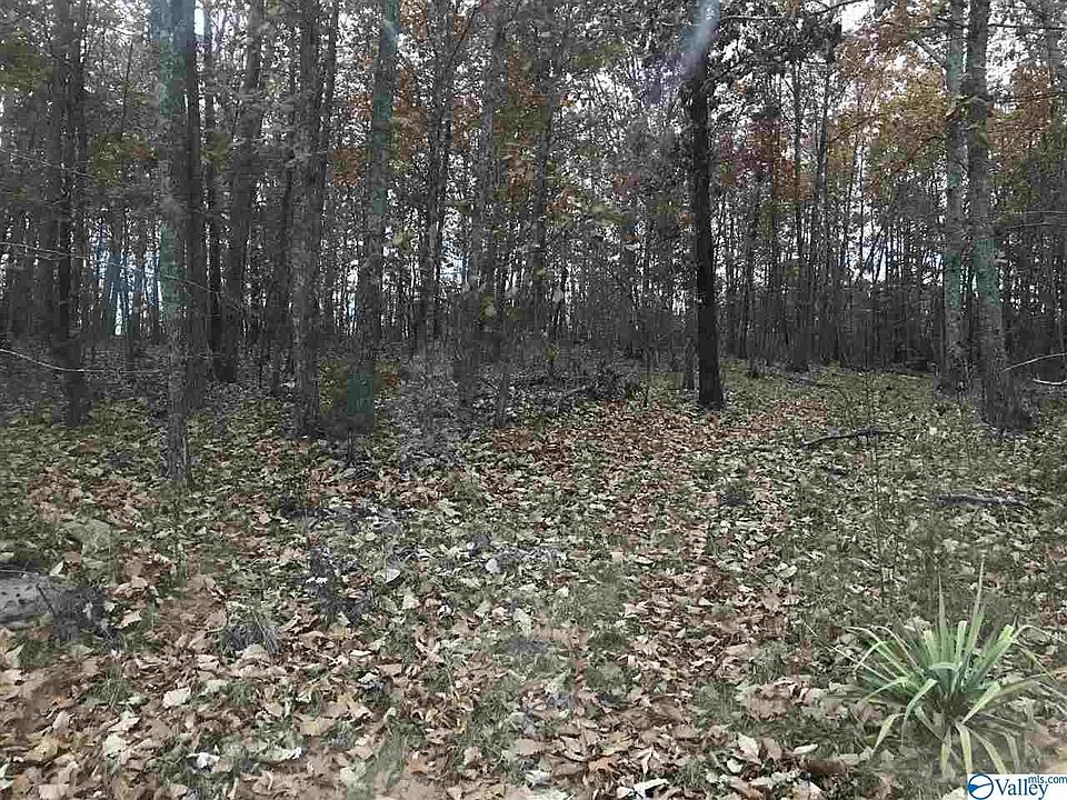 1st image of 1001 County Road 354