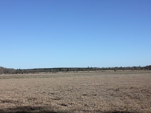 3rd image of Pid 38061 Cotton Thompson Rd