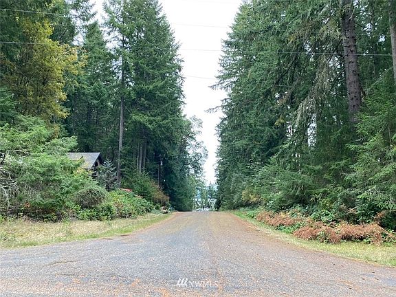 this is the view to the water (Puget Sound) from Paine, looking down Totem Way which T's the subject property (property is behind the photographer) View is looking toward Steilacoom, where the ferry leaves from