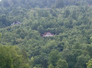 1913 Whistle Valley Rd, New Tazewell, TN 37825