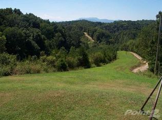 408 Saint Tide Hollow Rd, Newport, TN 37821