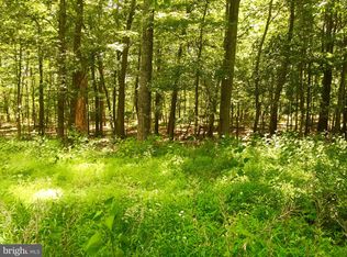 Falcon Vw LOT 16, Capon Bridge, WV 26711