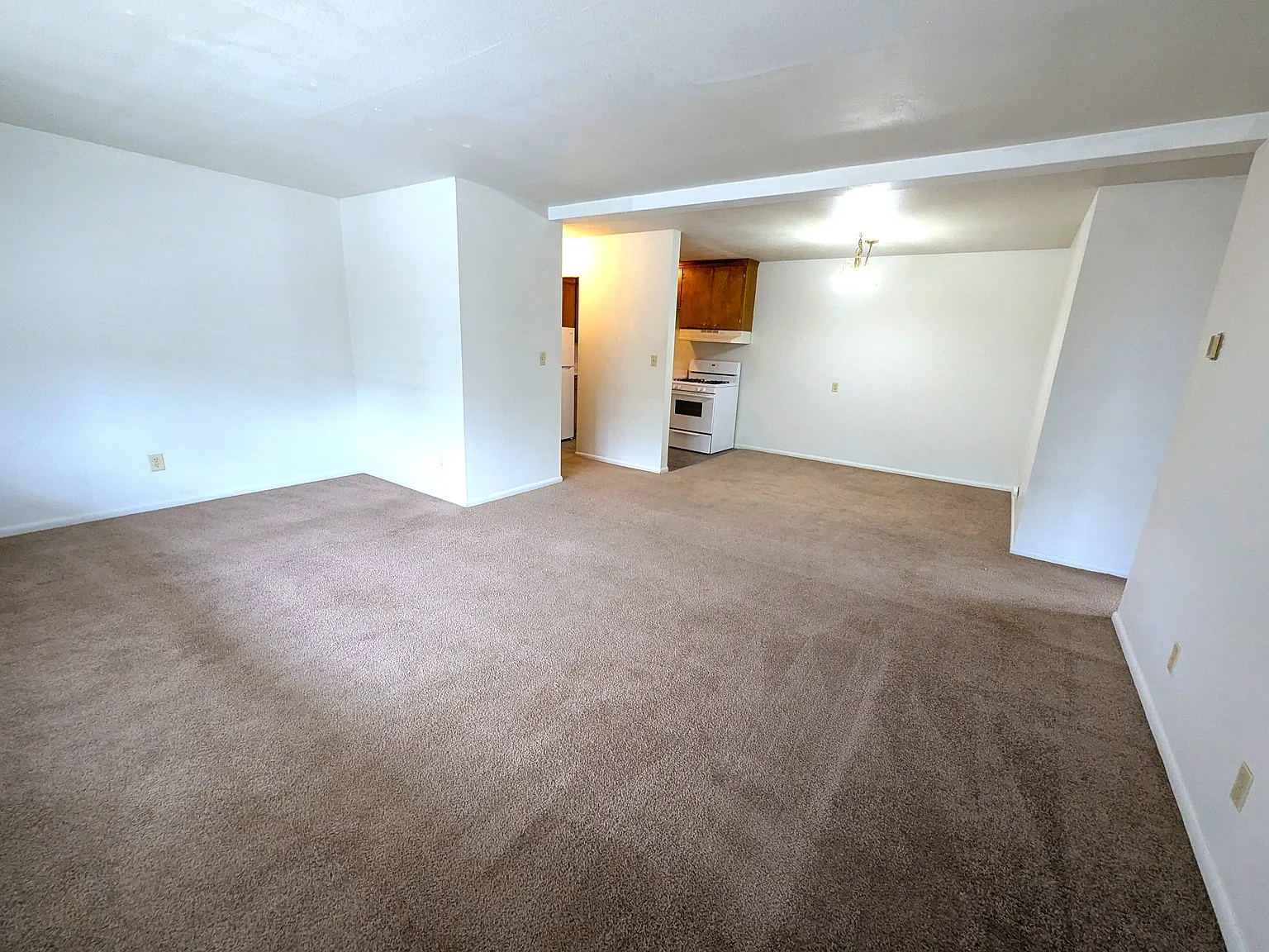 2 bed, 1000 sqft, $1,450 — Photo 2