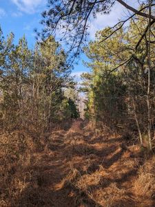 125 Cotton Back Rd, Nortonville, KY, 42442