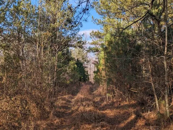 125 Cotton Back Rd, Nortonville, KY 42442