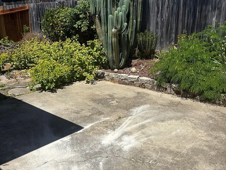 308 Hill St — Photo 14