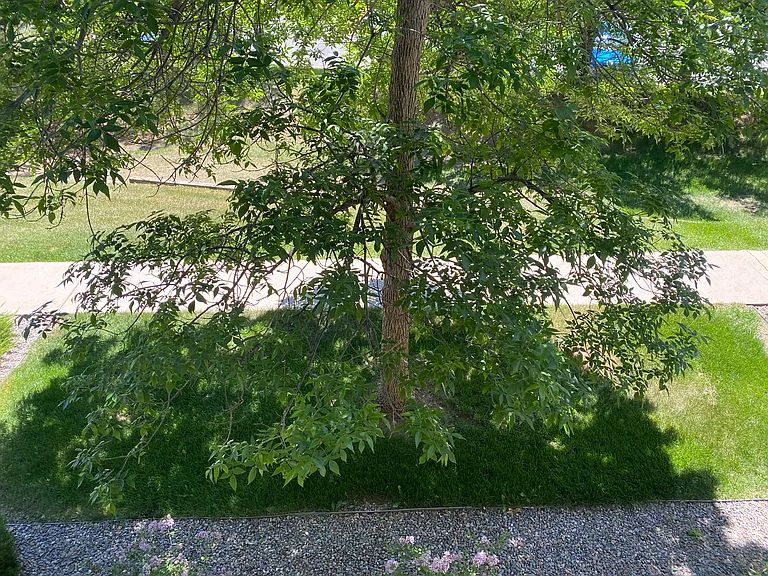 740 Copper Ln #201 — Photo 28