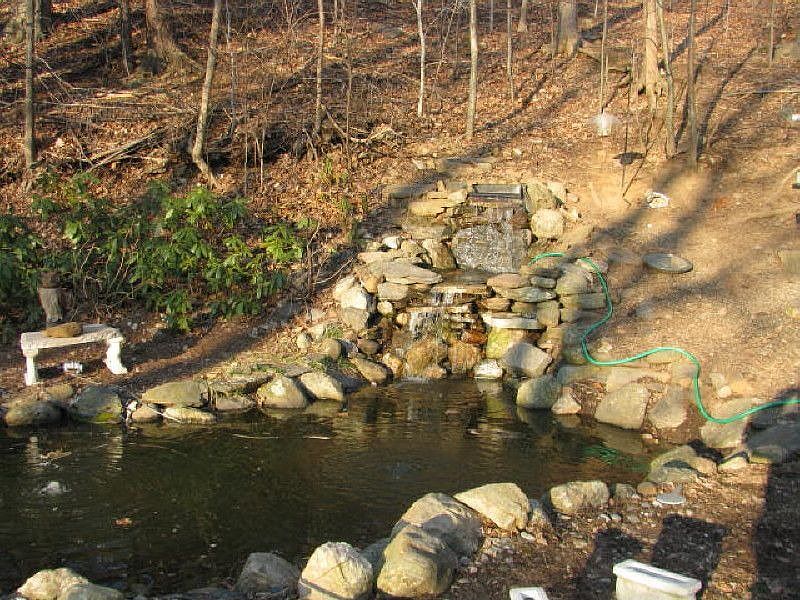 koi pond