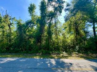 1610 SW Newark Dr, Fort White, FL 32038