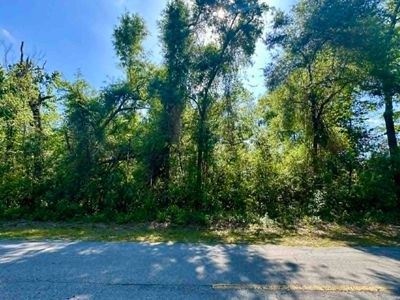 LOT 35 SW Newark Dr, Fort White, FL, 32038