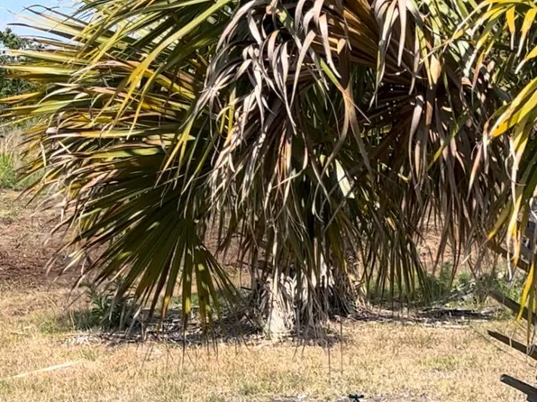 Xx Kocol Ln, Cocoa, FL 32927