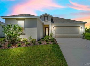 9313 Gentle Ben Ct, Weeki Wachee, FL 34613