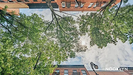 Rented by Nooklyn NYC LLC