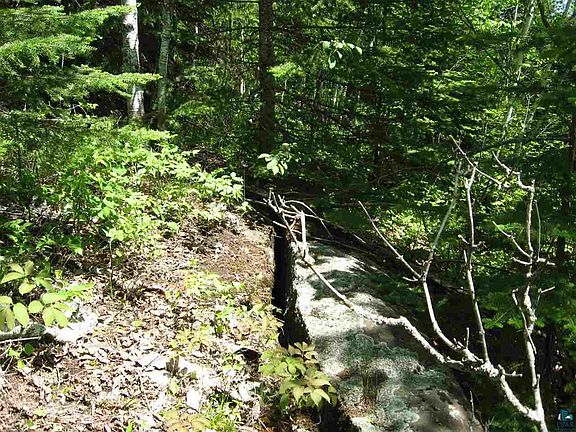4th image of xx1 Boreal Ln