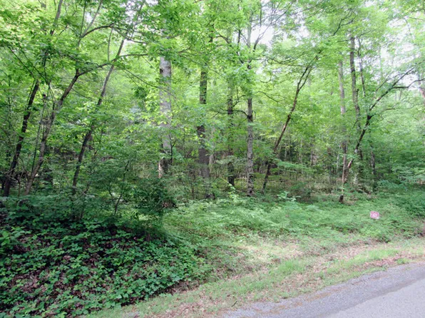 1374 Camellia Rd, Newport, TN 37821