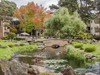 1321 Webster St APT D116, Alameda, CA, 94501