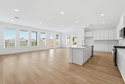 14919 Calluna Heather Ln Photo 1