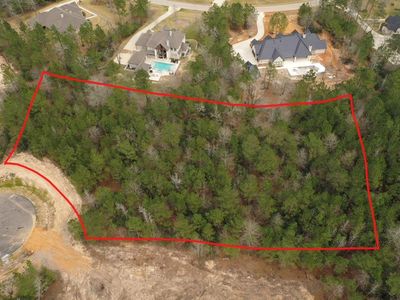 6901 Hollyleaf Ct, Montgomery, TX, 77316