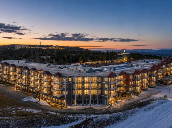 263 Mountain Ldg, Snowshoe, WV 26209