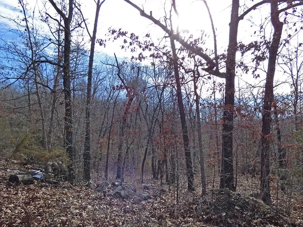 2 31st Sq, Cherokee Village, AR 72529