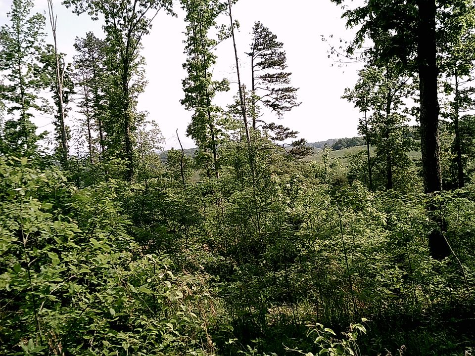 2nd image of Tr Brown Springs Road
