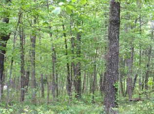 County Road 206, Alton, MO 65606