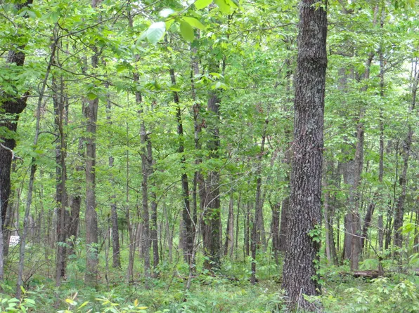 Tbd County Road 206, Alton, MO 65606