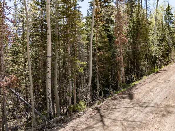 390 W Spruce St, Brian Head, UT 84719