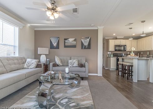 Living room kitchen