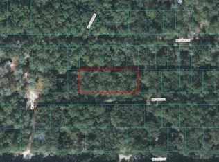 225TH PLACE LOT 34, FORT MC COY, FL 32134