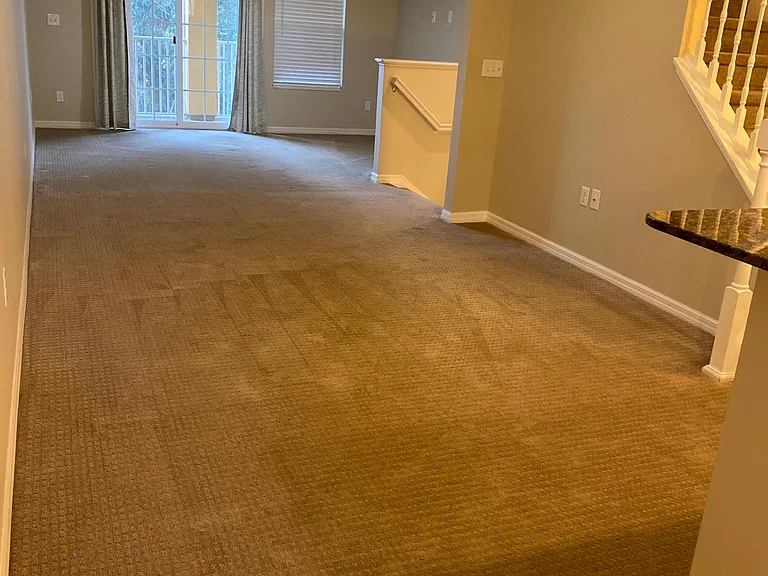 7324 Black Walnut Way — Photo 6