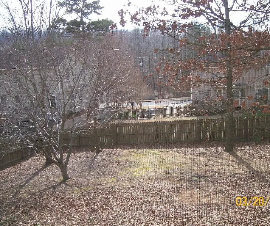 3 bed, 2.5 bath, 1891 sqft, $2,300 — Photo 3