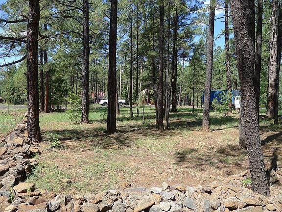 2nd image of 2485 Black Beaver Circle