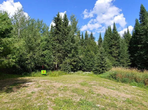 10407 Ash River Trl, Orr, MN 55771