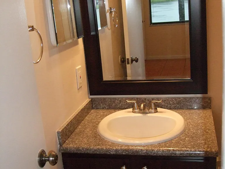 Master bathroom vanity- granite