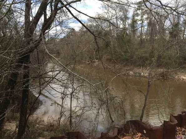 Rural Tract La Hwy #1036, Holden, LA 70744