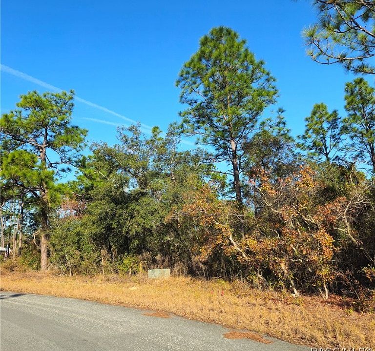 2nd image of 32 Cherrypalm Ct