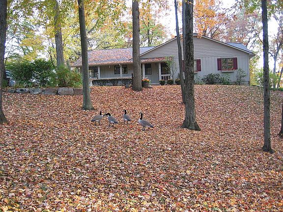 3rd image of 10444 Timbercreek Dr