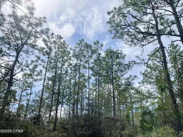 3340 Varsey Ln, Marianna, FL 32448